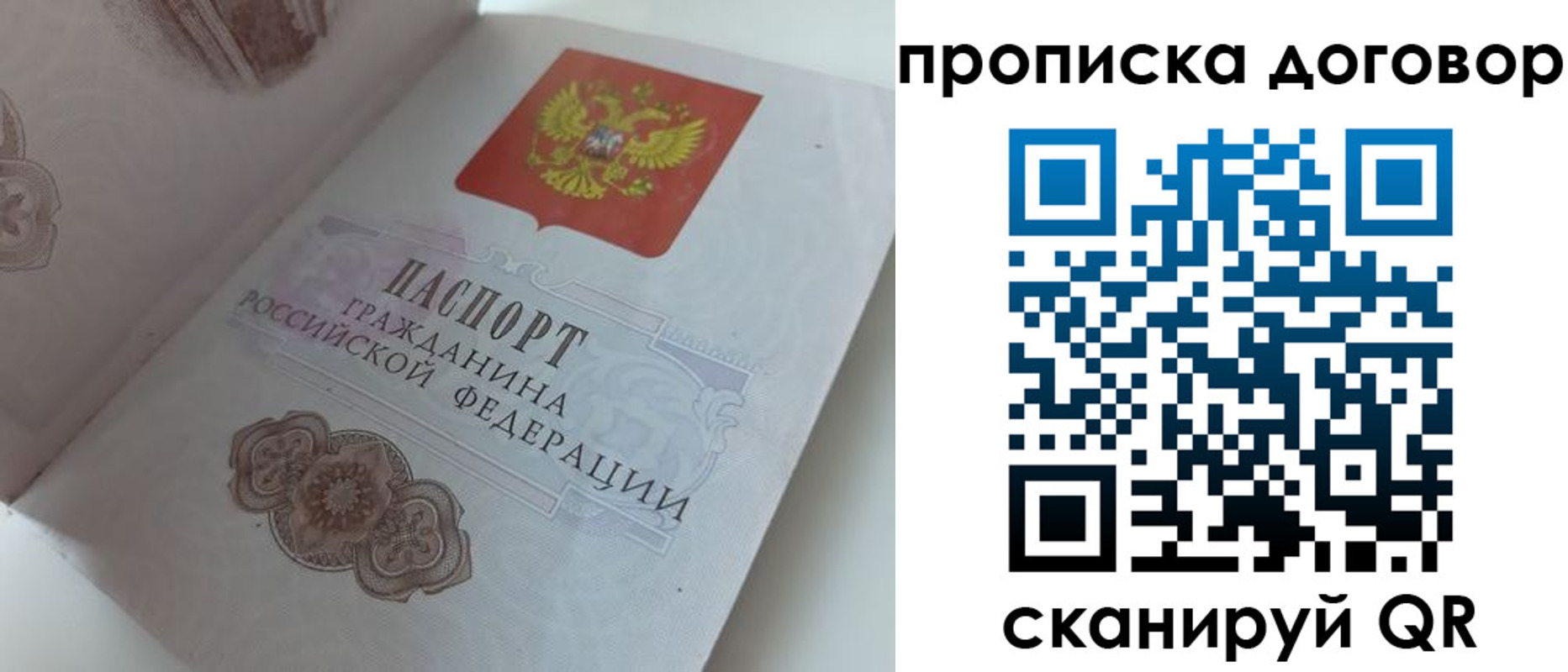 прописка поиск в Павловском Посаде